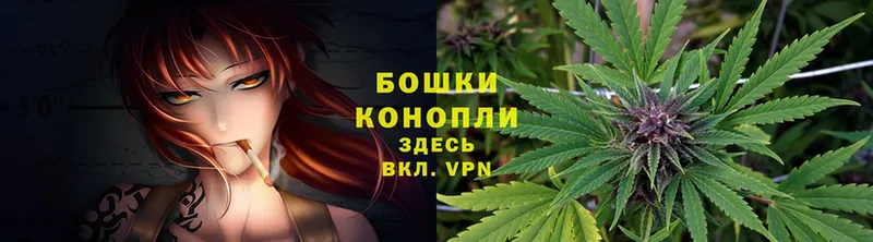 где купить наркоту  Гурьевск  Бошки Шишки Amnesia 